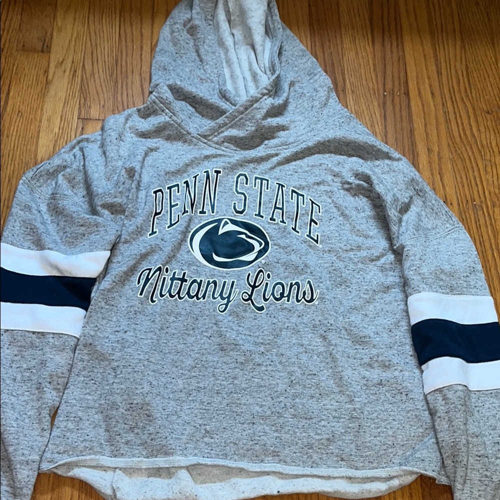 Penn-state Top of the World Gray Hoodie